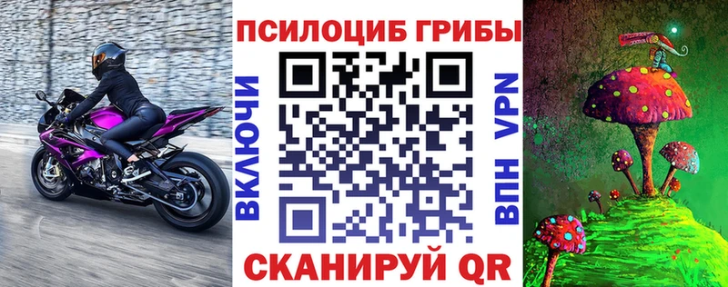 Галлюциногенные грибы Cubensis  купить  цена  Отрадная 